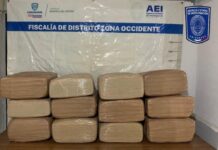 Asegura la Agencia Estatal de Investigación 120 kilos de mariguana en brecha de Uruachi