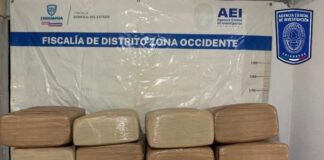 Asegura la Agencia Estatal de Investigación 120 kilos de mariguana en brecha de Uruachi