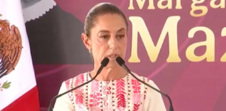 Viene a México representante de EU del T-MEC; se reunirá con Sheinbaum