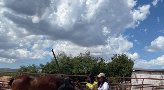 Concluye CEAVE programa “Un respiro entre caballos”, terapia asistida para víctimas de delitos