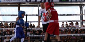 Invita Municipio al Box de Barrios este fin de semana en el Polideportivo Luis H. Álvarez