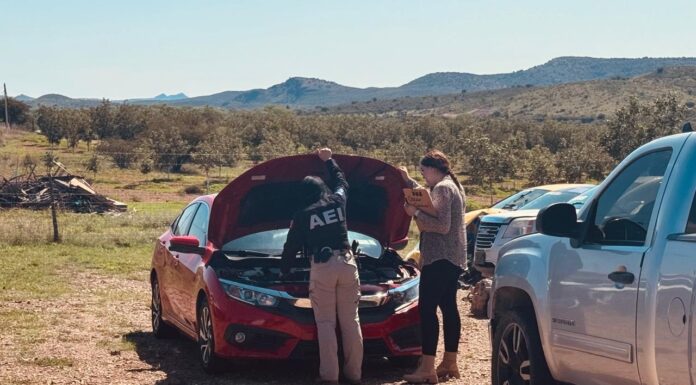 Realiza Fiscalía Zona Sur inspecciones en establecimientos de autopartes en Parral