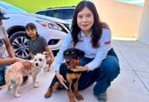 Lleva diputada Jael Argüelles campaña de bienestar animal al Centro Comunitario La Montada