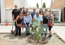 Recorre Joss Vega colonias del Distrito 15 con entrega de apoyos y atención directa a las familias