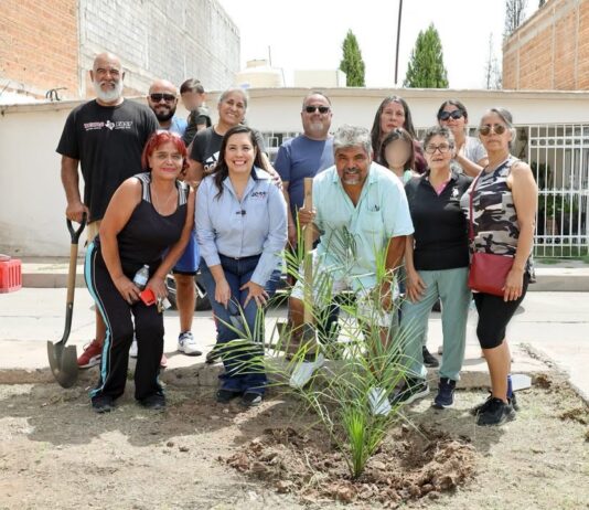 Recorre Joss Vega colonias del Distrito 15 con entrega de apoyos y atención directa a las familias