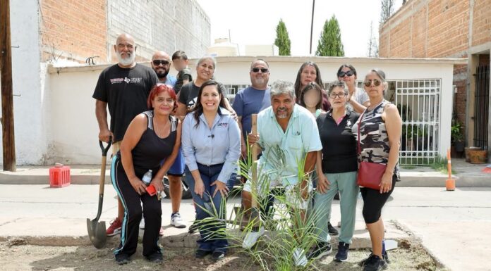 Recorre Joss Vega colonias del Distrito 15 con entrega de apoyos y atención directa a las familias