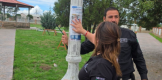Realizan pega y reparto de pesquisas en Las Varas, Madera