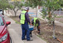 Limpia Municipio parques para mantenerlos seguros y en óptimas condiciones para las familias