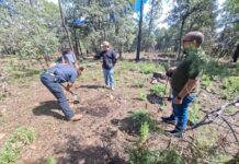 Realizan rastreo e inspección con dron en localidades de Madera