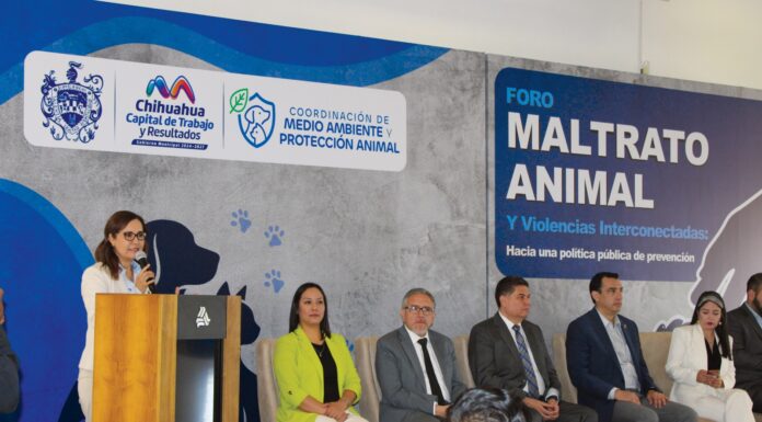 Un éxito foro sobre prevención del maltrato animal con 170 asistentes: Municipio