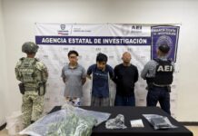 Detiene AEI a tres personas durante cateo en el que se aseguró dos matas de mariguana y un arma de fuego