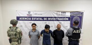 Detiene AEI a tres personas durante cateo en el que se aseguró dos matas de mariguana y un arma de fuego