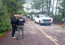 Investiga Fiscalía muerte de dos masculinos localizados sin vida en carretera de Guadalupe Y Calvo