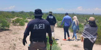 Realiza FGE Sur operativo de rastreo pedestre y pega de pesquisas en comunidades de Jiménez y Coronado