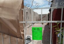 Atiende Desarrollo Urbano del Municipio 187 reportes ambientales y de obra en la ciudad