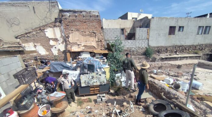Atiende Desarrollo Urbano del Municipio 175 reportes ambientales y de obra en la ciudad