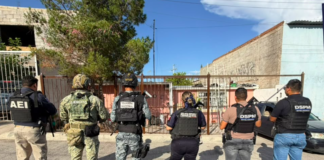 Realiza FDZC cateo por investigación de robo agravado en la colonia Renovación; un detenido