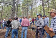 Capacita SDR y Conafor a brigadistas en técnicas de sanidad forestal