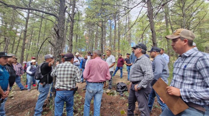 Capacita SDR y Conafor a brigadistas en técnicas de sanidad forestal
