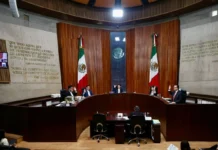 TEPJF confirma multa a México tiene vida por simular más de 5 mil afiliaciones