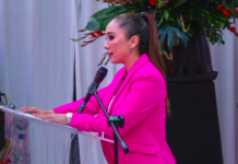 Falso que vayan a ser construidas Casas del Bienestar en Aquiles Serdán: Teresa Erives