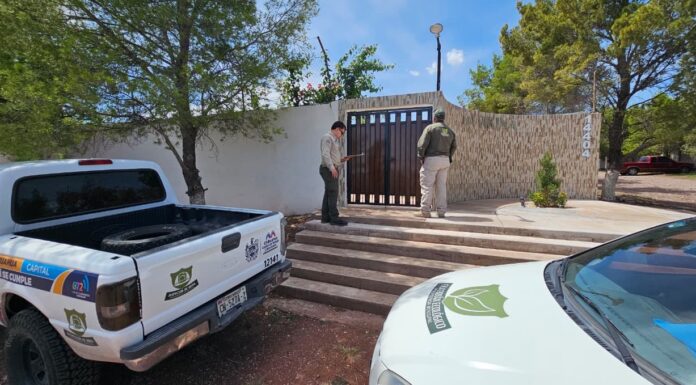 Atiende Desarrollo Urbano del Municipio 113 reportes ambientales y de obra en la ciudad