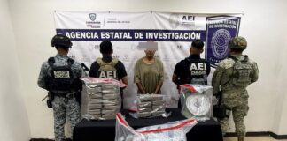 Incauta AEI Zona Norte más 53 kilos de mariguana y detiene a un masculino durante un cateo