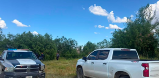 Localizan un cráneo humano en el campo menonita No. 23