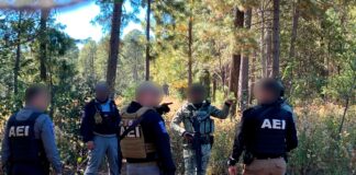 Mantiene Célula BOI despliegue permanente de seguridad en Guadalupe y Calvo