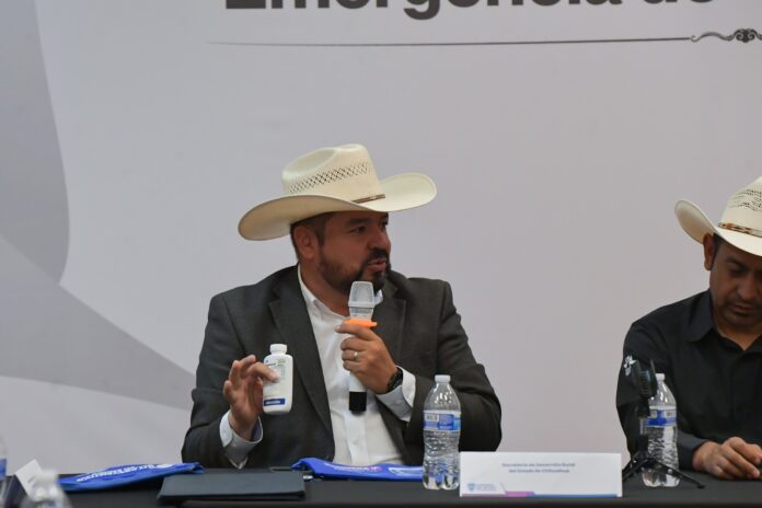 estatal sanidad