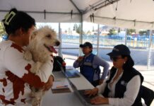 Invita Municipio a jornada gratuita de vacunación para mascotas en Parque Fundadores