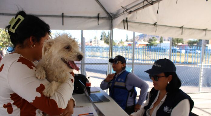 Invita Municipio a jornada gratuita de vacunación para mascotas en Parque Fundadores