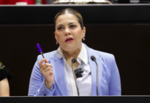 Propone Lilia Aguilar anular elecciones cuando intervenga la delincuencia organizada