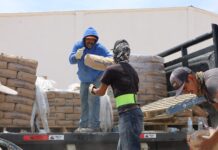 Entrega Coesvi material para mejoramiento de vivienda a 23 familias de Satevó