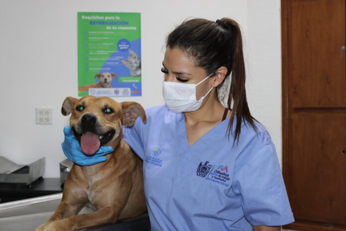 protege salud
