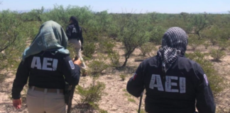 Despliega FDZS operativo de búsqueda y rastreo en Jiménez y Villa López