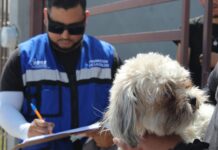 Continúa Municipio acciones contra la rickettsia; llevará “Patio de mi Casa” a cuatro colonias