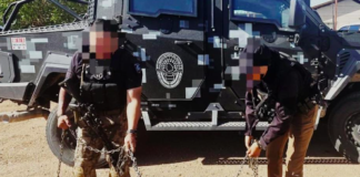 Asegura AEI Zona Centro 2 osos negros en El Oasis, Ojinaga