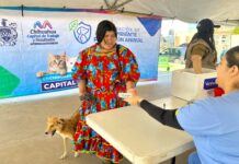 Brinda Municipio más de 940 servicios gratuitos para perros y gatos en Vistas Cerro Grande