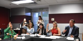 Aprueba Comisión convocatorias para reconocer al Mérito Médico y sobre la Prevención de Adicciones 2026.