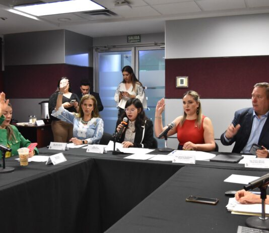 Aprueba Comisión convocatorias para reconocer al Mérito Médico y sobre la Prevención de Adicciones 2026.