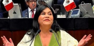 Desde el Senado respaldamos uso limitado de celulares en las escuelas: Guadalupe Chavira