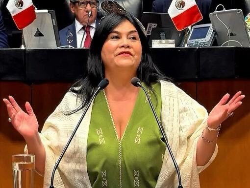 Desde el Senado respaldamos uso limitado de celulares en las escuelas: Guadalupe Chavira