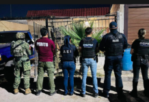 Catea Unidad Investigación de Robos de la Fiscalía Centro cuatro inmuebles el fin de semana
