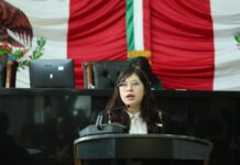 No censuramos, regulamos para proteger a menores en redes sociales: Argüelles