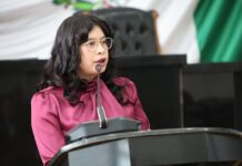 Jael Argüelles exhibe vicios de reforma electoral: “La Corte les corrigió la plana”