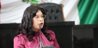 Jael Argüelles exhibe vicios de reforma electoral: “La Corte les corrigió la plana”