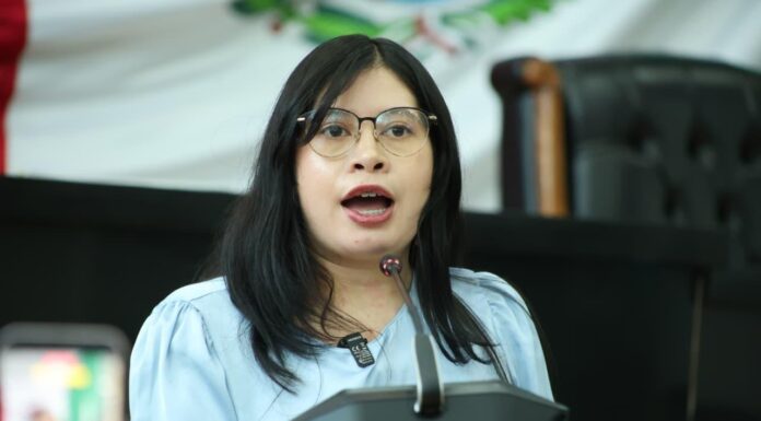 Jael Argüelles exige a Gilberto Baeza actuar ante alerta por dengue en la Sierra de Chihuahua