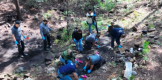 Concluye FDZC primera fase de rastreo en la Laguna El Tres del municipio de Madera