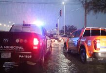 Dejaron lluvias 50 vehículos varados, 15 árboles caídos y afectaciones en postes, bardas y domicilios